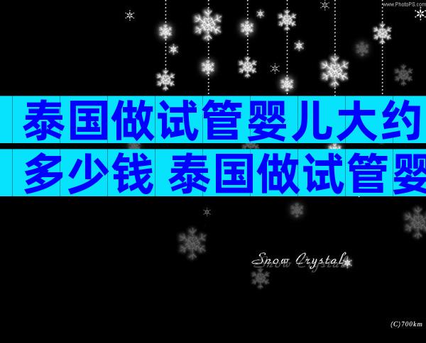 泰国做试管婴儿大约多少钱 泰国做试管婴儿大概多少钱